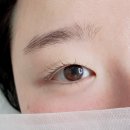 [울산 남구 삼산동] 아이리미 속눈썹펌 후기 내돈내산