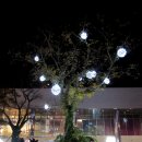 야외광장 문화행사 < Dream Night > | 국립아시아문화전당 개관1주년 야외광장 문화행사 "Dream Night"