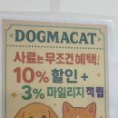 도그마켓부산