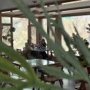 차마고도 | Day 3 - 리장 차마고도 자유여행🍵: 중도객잔에서 점심 먹기, 타이거벅스, 천하제일 화장실, 차마고도 원...