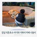 카페 리브어스 | 잠실 석촌호수 아기랑 가기 좋은 브런치 카페 슬로우어스, 거북이와 물고기 관찰하며 부모아이 힐링 시간