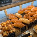 라사라 빌딩 | 넷플릭스 천하제빵 참가자 홍대 연남 빵집 아오이토리 서교동 맛집 베이커리 카페