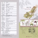 약용식물