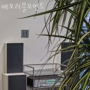 메모러블모먼트