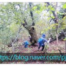 벽송산장