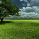 초원컴퓨터 이미지