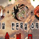 참숯구이 통삼겹 이미지