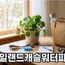가평니노키즈풀빌라스파수영장펜션 | 영월 비브릿지 풀빌라 장단점 쟁점 비교와 여행 스타일별 선택 기준