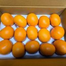 정착농장 | 고당도 천혜향 제주왓귤농장 3kg 솔직후기, 귤효능 가득!