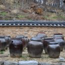 영주스테이 이미지