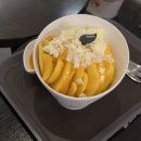 (주)진샘