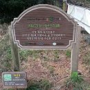 제주리움 이미지