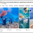 오키나와 케라마제도 투어 스노쿨링 리얼 후기