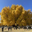 반계리 경로당 이미지