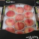 도향축산 Daum카페
