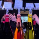 지케이 인터네셔널 이미지