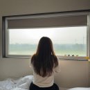 제주도 여행