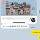 공단꽃할인매장