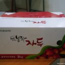 옥이네농장 이미지