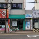 데이즈인블룸
