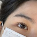 낙성대속눈썹펌 '아르제이' : 블랙틴트 후기 속눈썹펌 후 주의사항