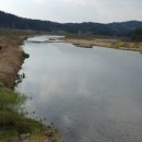 서대전농협주유소 이미지