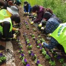 부림마을_동 이미지