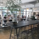 caffe T(카페 티)