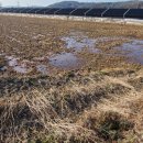 여주-1043 이미지