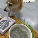 기미상견 펫푸드전문학원 | 기미상견 강아지보양식 강아지죽 강아지수제간식
