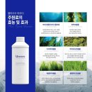 오르에스테틱 이미지