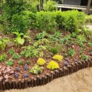 장수공원 이미지