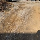 신평초교 인근 | 부산 신평 | 사하구 애견동반 유럽감성 가오픈 브런치 신상카페 그랑비 방문 당일 후기 (주차장 설명OK)
