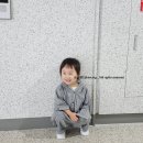 똘똘이농장 | [육아일기] 29개월 아기 9월 4주차 일상, 스스로 책읽기, 언어발달