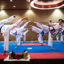 비상태권도 이미지