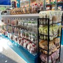 내안에너있DOG 이미지