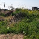 제주공감공인중개사사무소 이미지