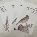 그림책도서관 | [도서관] 순천 그림책 도서관 전시 후기, 아이가 그림을 사진이라고 우기는 이유