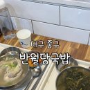 반월당국밥 | 대구 중구) 반월당국밥 [ 시락국밥/닭곰탕 ] 가성비...한끼 반월당역 지하상가 맛집 추천 내돈내산 후기