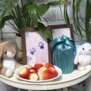 (주)씨디센터 이미지