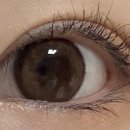 위본안경 위드렌즈 이미지