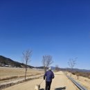 초록숲민박