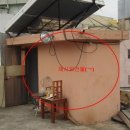 오동동179 이미지