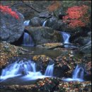 가야권역 소리마실 영농조합법인 이미지