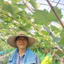 백아농장 이미지