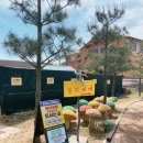 펠리시떼 이미지