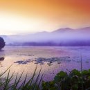 고창고인돌(서울) 이미지