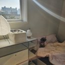 소리지 | 인테리어 모빌 추천 자개모빌 소리와 햇빛 반짝임 후기