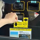 에디션구리점 | 서울근교애견동반 스타벅스 구리갈매DT점 솔직후기 (주차 꿀팁 + 놀이터까지)