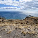 바다파파 이미지